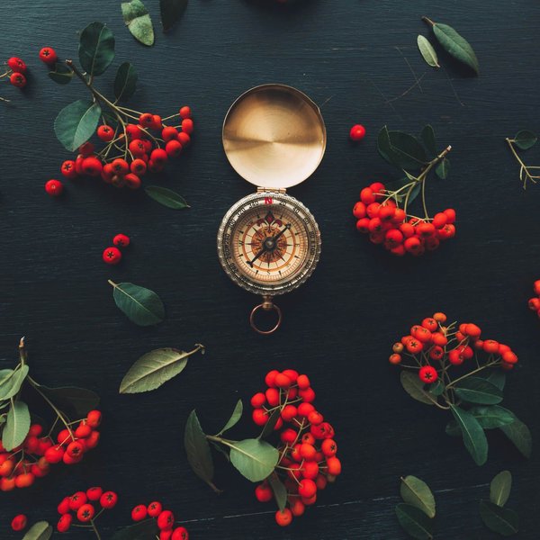 Essential Tips for New Sailors: A Beginner"s Guide to Preparing for Your First Regatta